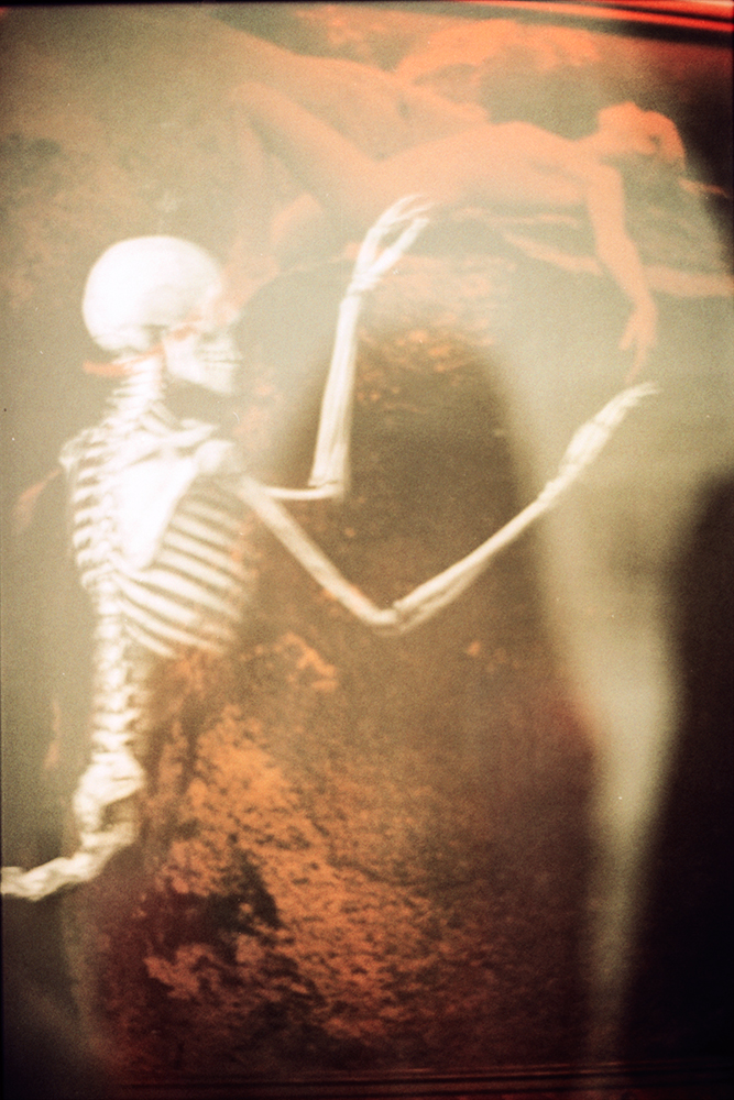 photo argentique, portrait, femme, squelette